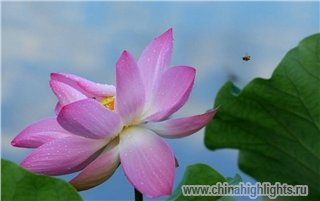 Погода Ханчжоу в Июне