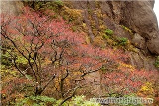 Погода Хуаншань в Ноябре