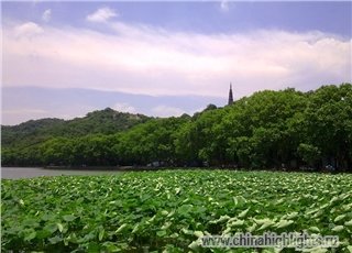 Погода Ханчжоу в Августе