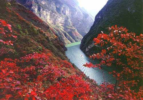 重慶市内観光1泊2日間