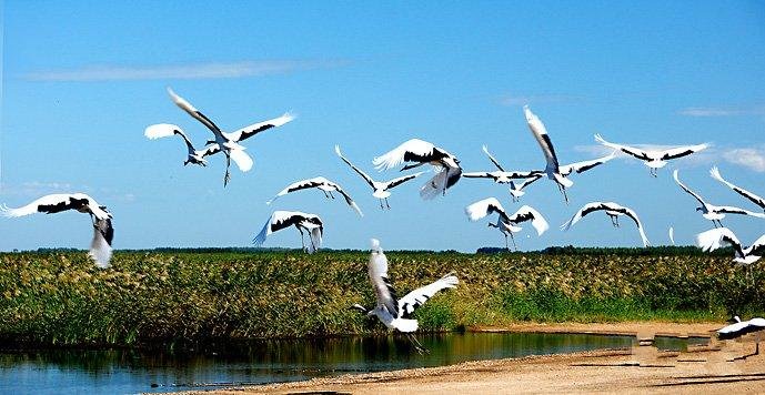 東北三つ都市旅行(ハルピンハイラル満州里)（3泊4日）