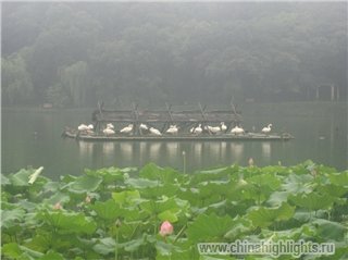 Погода Ханчжоу в Июле