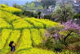 Погода Шэньчжэнь в Марте