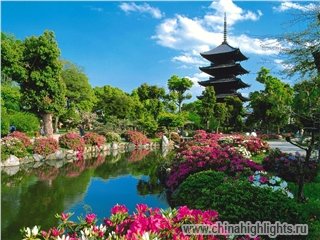 Погода Шэньчжэнь в Мае