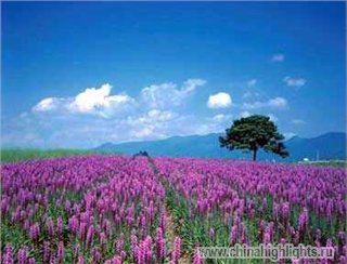 Погода Шэньчжэнь в Январе