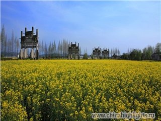 Сад Пэнцзин