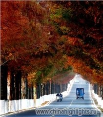 Деревня тачуань