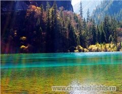 Озёра носорог составляют