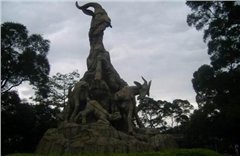 Самое лучшее в Гуанчжоу