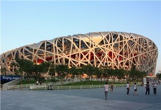 Птичье гнездо