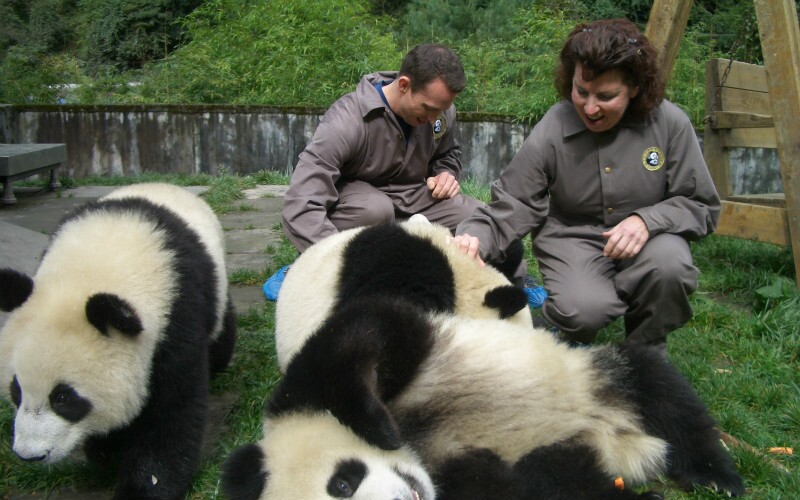  Bifengxia Panda Base - the Largest Giant Panda Base 