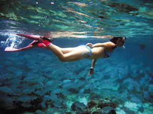 Рекомендуемые центры водного спорта в Санье