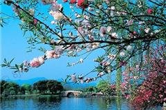 Alba primaverile lungo il viale di Su