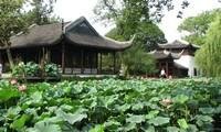 Humble Administrator's Garden in Suzhou