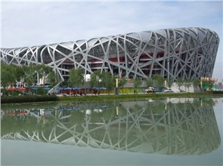 Птичье гнездо