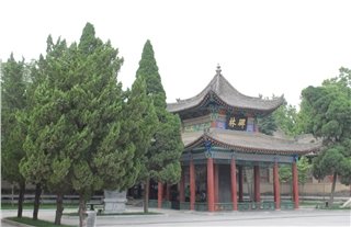 Музей Лес каменных колонн