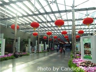 Дом оперы в Гуанчжоу