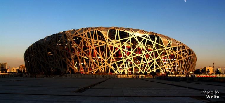 Птичье гнездо