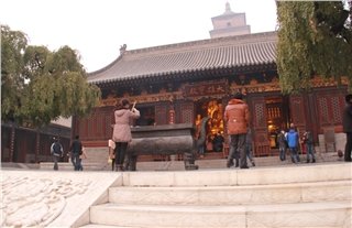 Пагода Большой дикий гусь