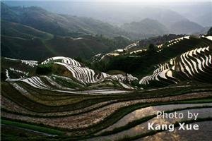 Longji Terrace
