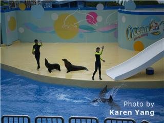 Шанхайский океанариум