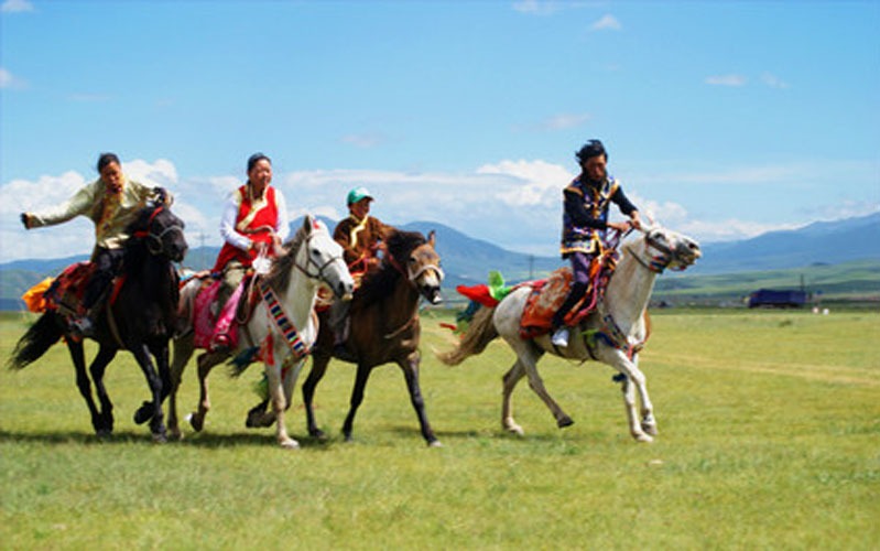 Shangri-la Horse Race Festival        