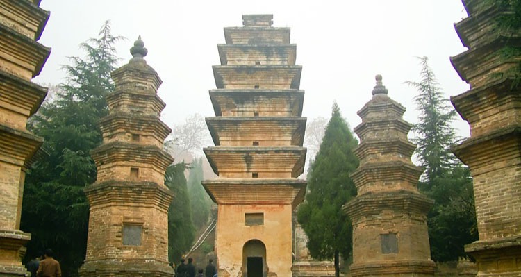 the pagoda forest