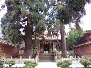 Bamboo temple