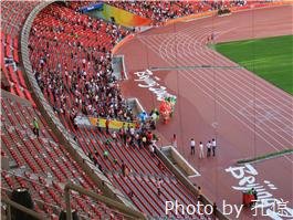 Птичье гнездо