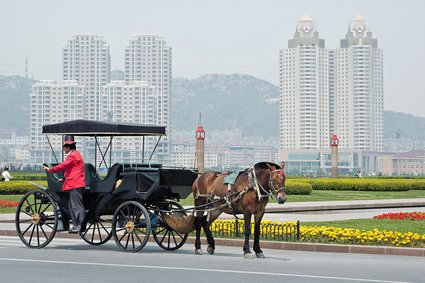 dalian streetscape