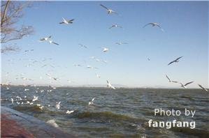 Dian lake