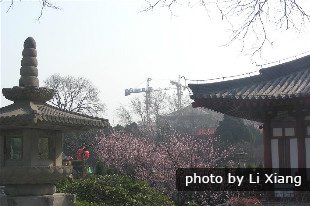 Paisaje de Río Yulong