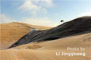 Kubuqi Desert
