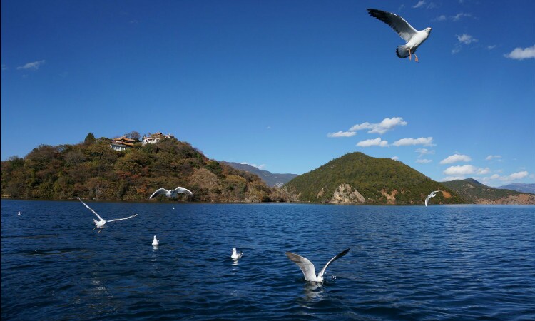 Lugu Lake