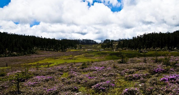 Qianhu Mountain hiking