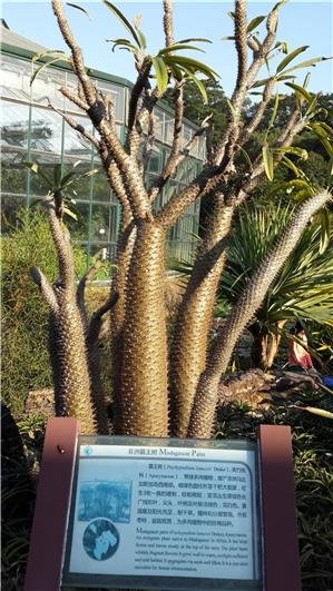 South China Botanical Garden