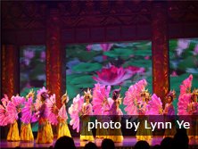 tang dynasty show