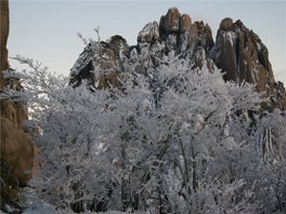 the yellow mountains