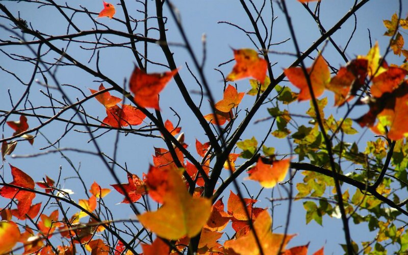 10月重庆天气，10月重庆气温