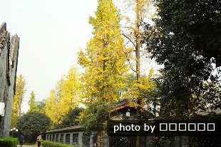 excursión de bicicleta en Yangshuo