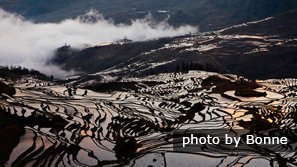 Mer de nuages au dessus des rizières en terrasses de Yuanyang