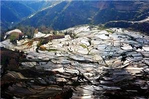 Rizière en terrasse de Yuanyang