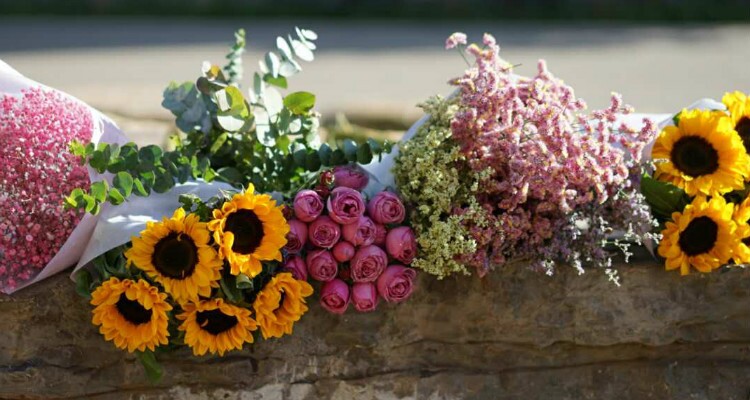 Cut Flowers in Yunnan