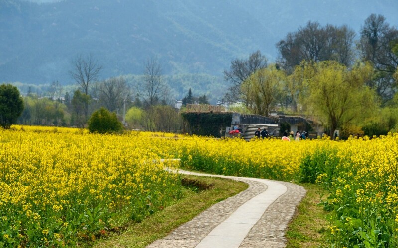 Pingshan: a Beautiful Village near the Yellow Mountains 