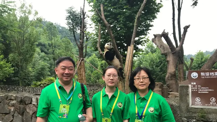 Panda volunteer programme