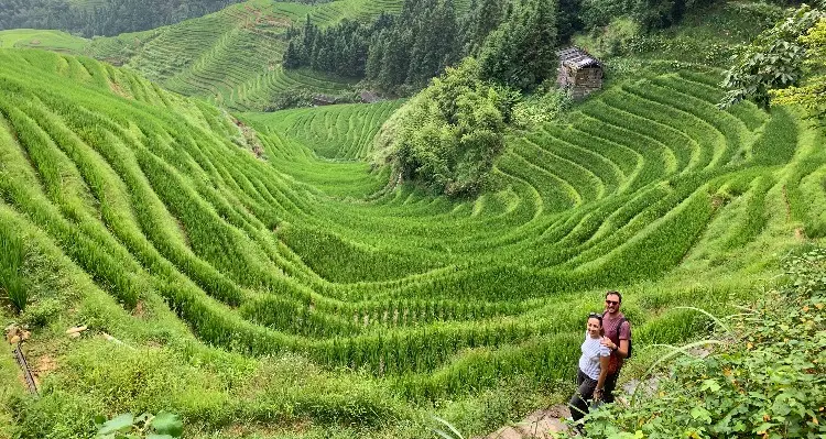 walking in the terraced fields