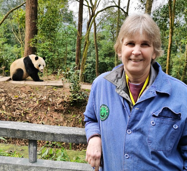 一天Dujiangyan Panda志愿者计划之旅