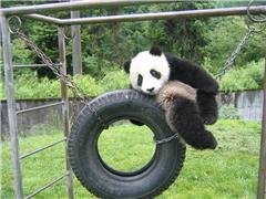 Время для игр