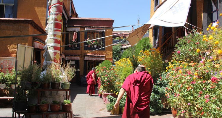 Ani Tsamkhung Nunnery,