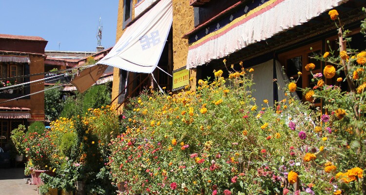 Ani Tsangkhung Nunnery with flowers